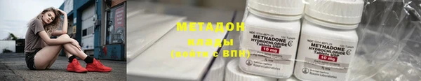 прущие грибы Арсеньев