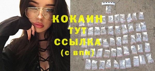 прущие грибы Арсеньев