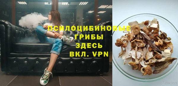 прущие грибы Арсеньев