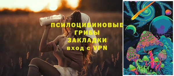 apvp Аркадак