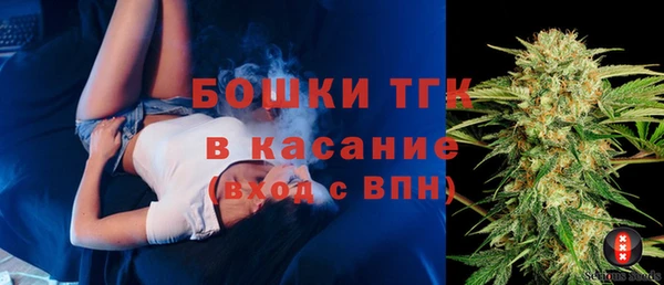 прущие грибы Арсеньев