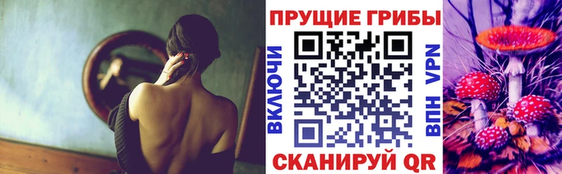 наркотики  Новый Оскол  Псилоцибиновые грибы MAGIC MUSHROOMS 